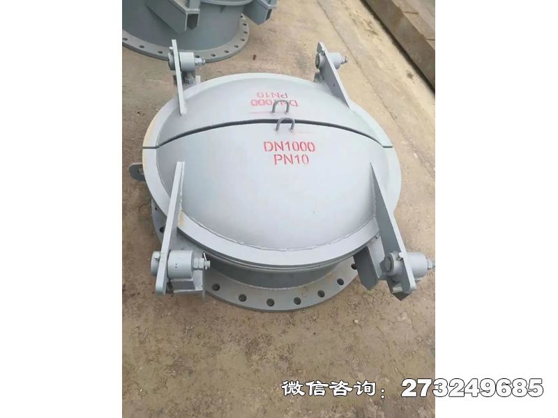 永州不锈钢防潮拍门