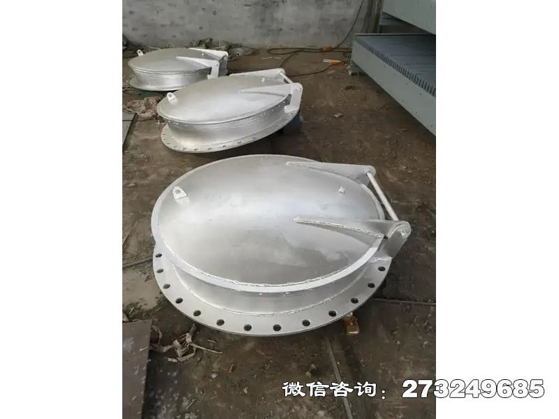 永州防止洪水倒灌不锈钢拍门