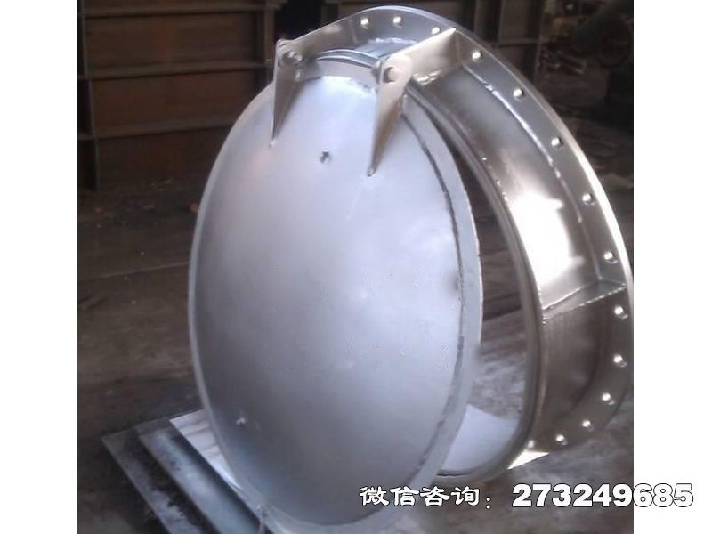 英山县316L不锈钢拍门