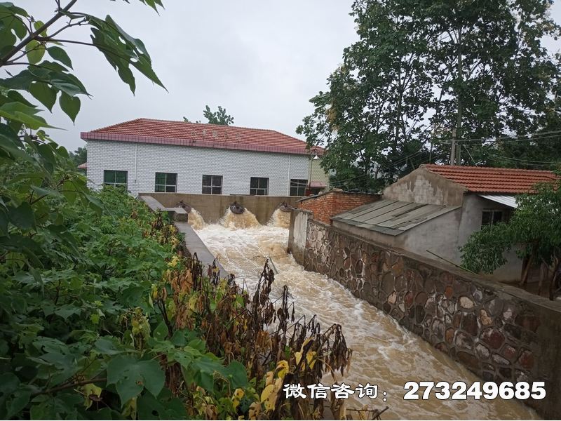 临翔泵站应急涵闸
