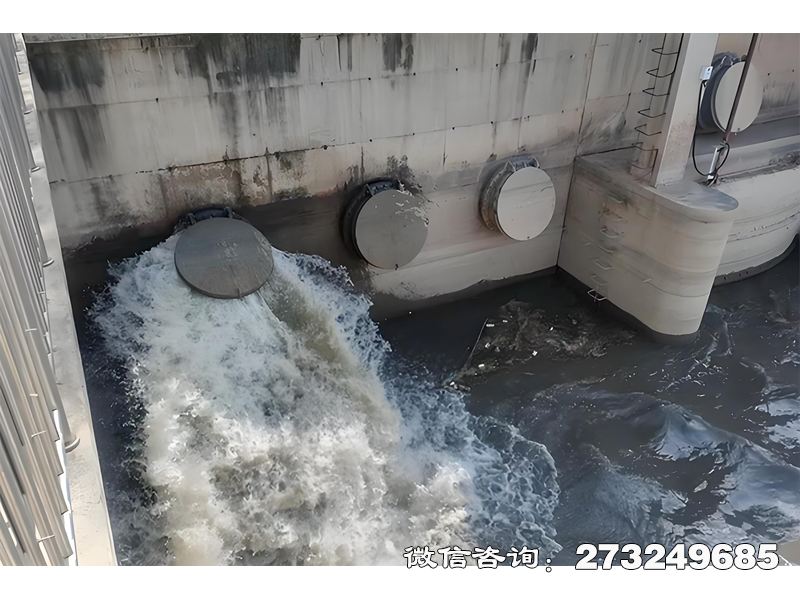永州隧道排水口潮门拍门