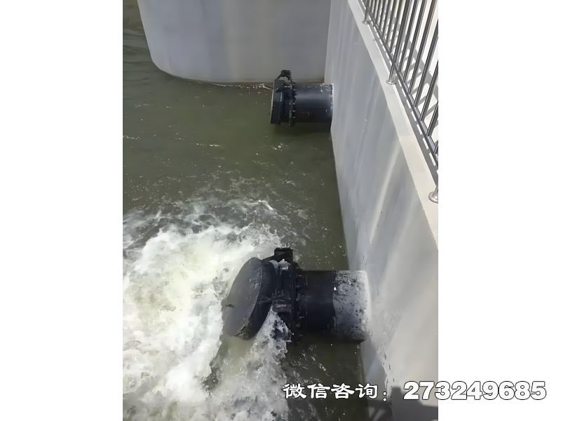 红塔河道潮门拍门