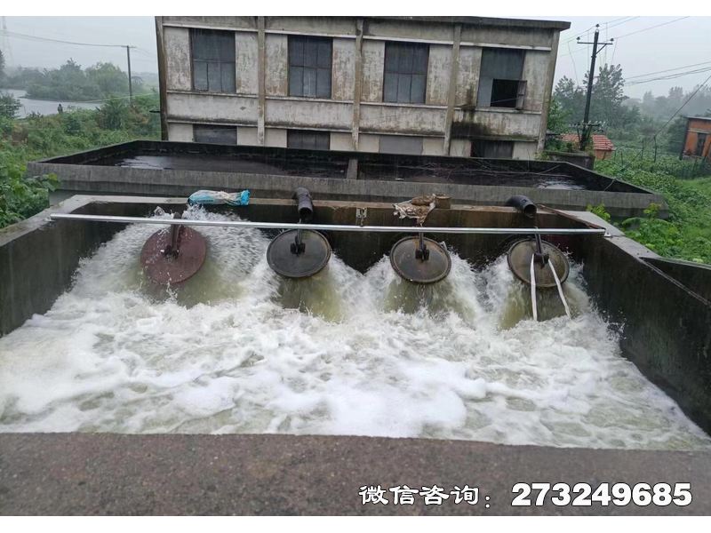 裕安行洪区退水口潮门拍门