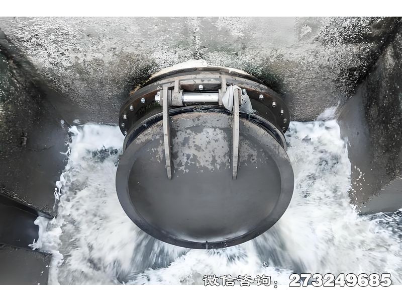 裕安河道排水潮门拍门