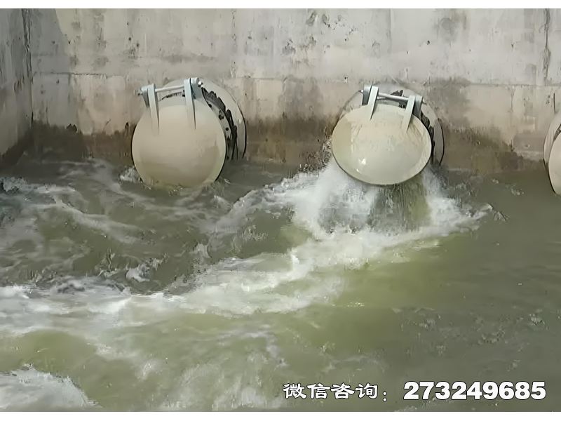 裕安河道生态护岸排水潮门拍门