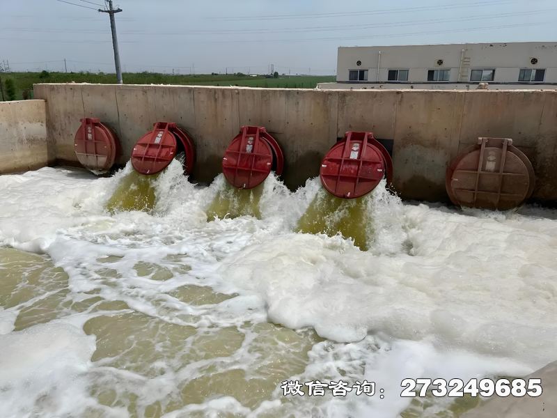 裕安河口整治工程潮门拍门