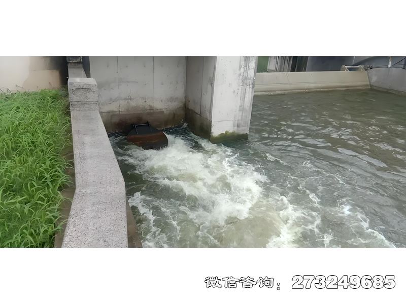 裕安海塘防潮闸潮门拍门