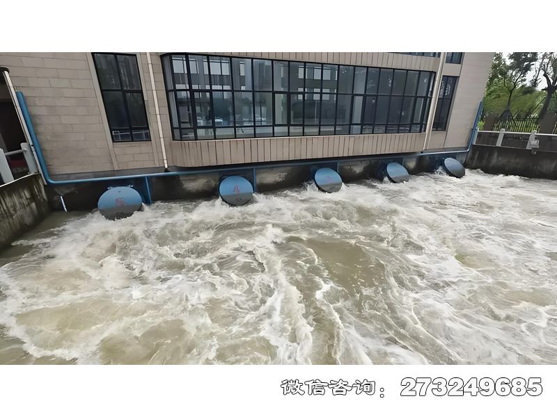 海防工程拍门