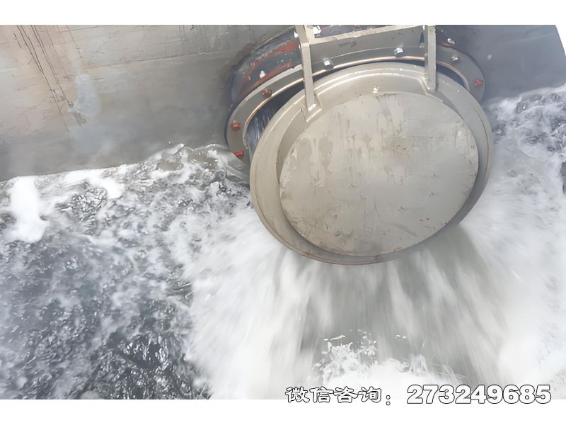 海堤排水拍门