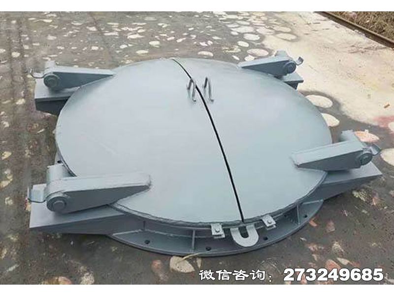 茶陵县沿海防潮钢制拍门