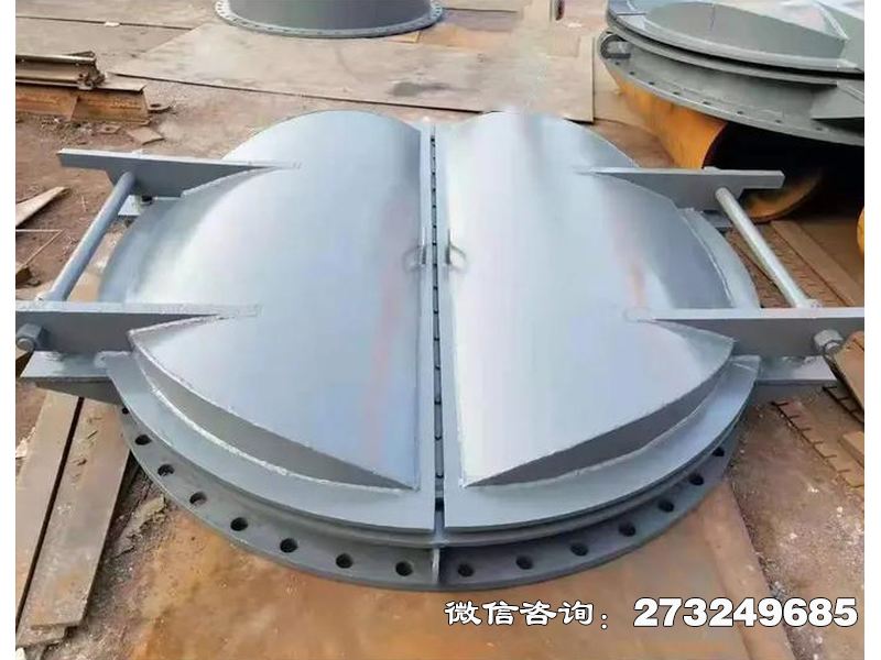 富裕县防潮钢制海堤拍门