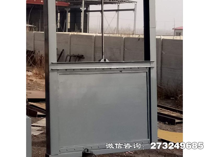 永州止水钢制抗磨闸门
