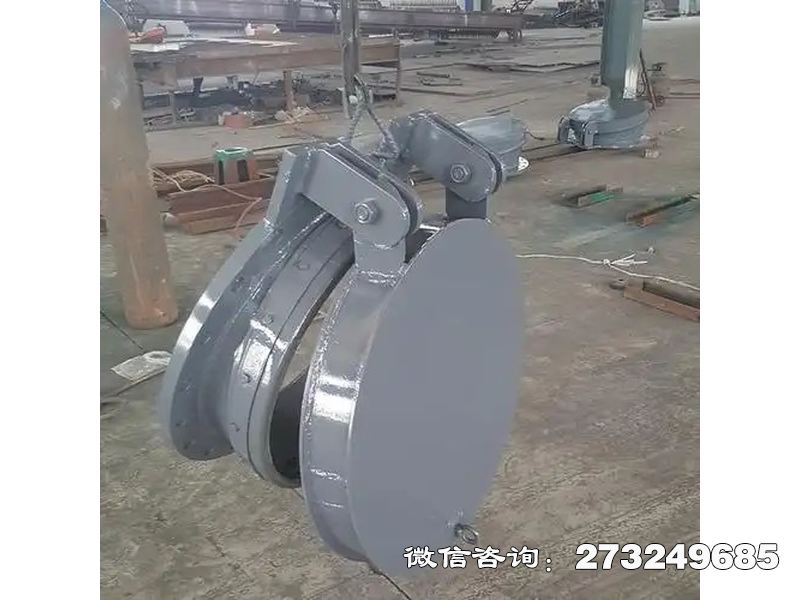 永州铸铁圆形净化水质拍门