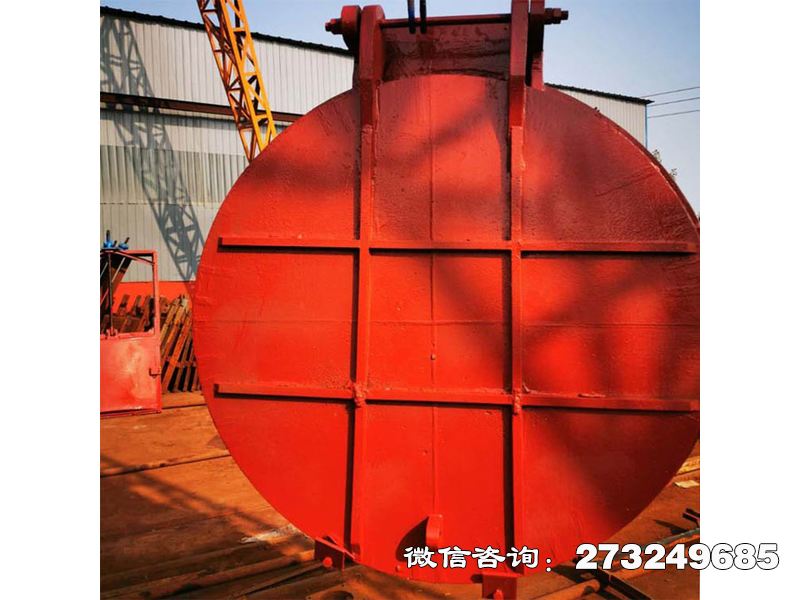 永州铸铁圆形分流拍门