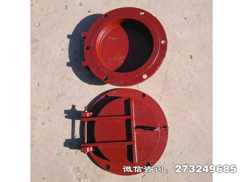 临翔铸铁圆型消能拍门