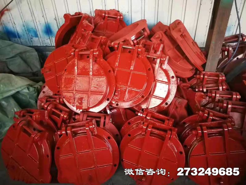 永州铸铁圆形泵站拍门